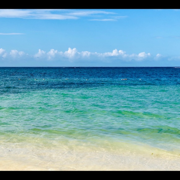 Meet your Posher, Raymond - Picture 4 of 4